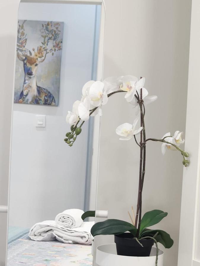 Apartamento Paula Valladolid Kültér fotó