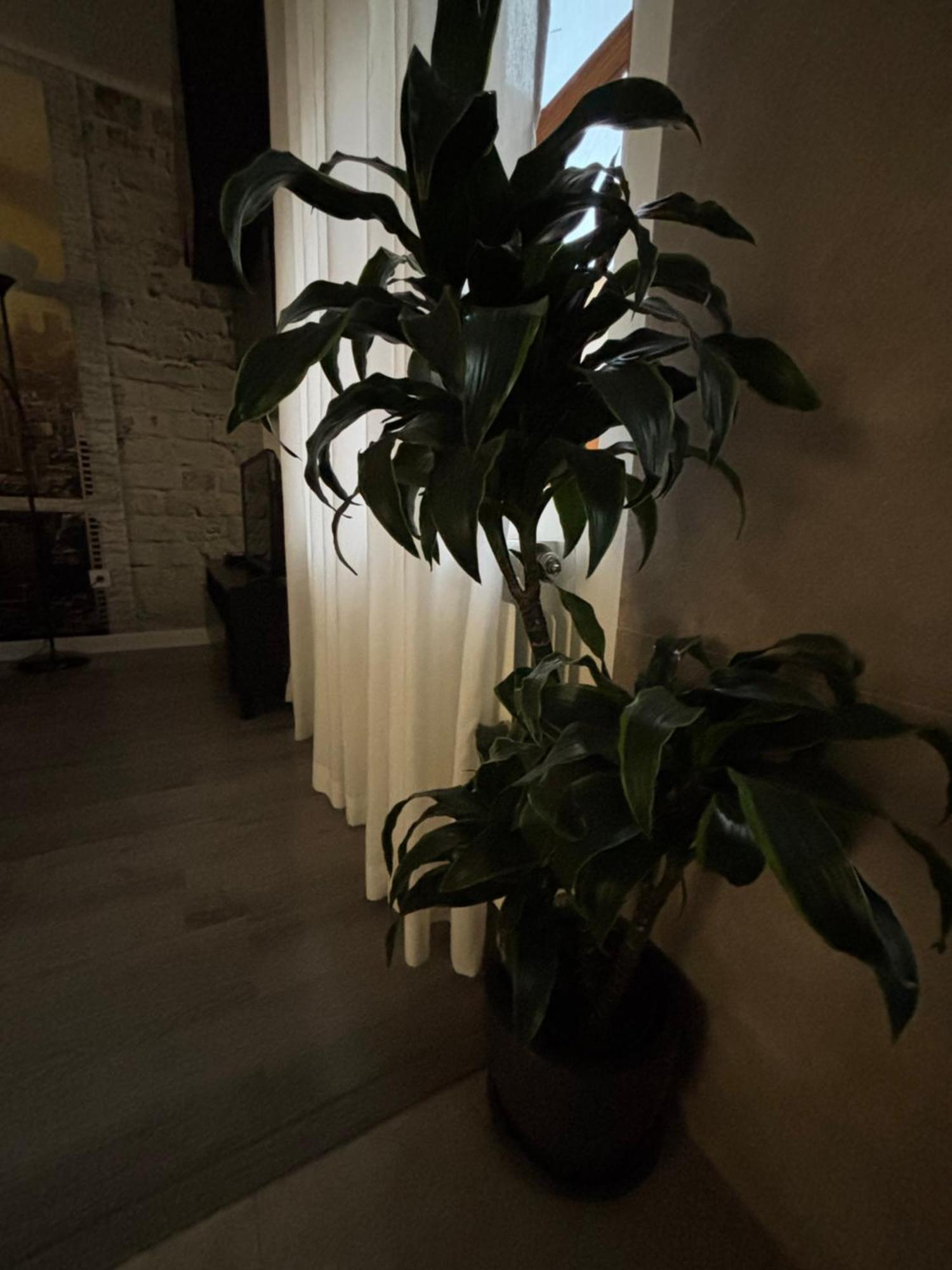 Apartamento Paula Valladolid Kültér fotó